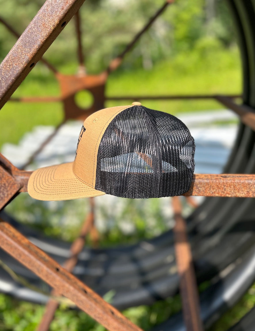 HFG Snapback